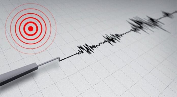 Panic In Kashmir Valley As Mild Earthquake Sends Residents Running Outdoors Panic In Kashmir Valley As Mild Earthquake Sends Residents Running Outdoors