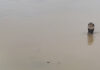 China Hit By Deadly Landslide As Floods Trigger Snake Scare In Villages, 21 Died China Hit By Deadly Landslide As Floods Trigger Snake Scare In Villages, 21 Died