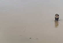 China Hit By Deadly Landslide As Floods Trigger Snake Scare In Villages, 21 Died China Hit By Deadly Landslide As Floods Trigger Snake Scare In Villages, 21 Died
