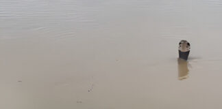 China Hit By Deadly Landslide As Floods Trigger Snake Scare In Villages, 21 Died China Hit By Deadly Landslide As Floods Trigger Snake Scare In Villages, 21 Died
