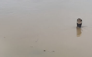 China Hit By Deadly Landslide As Floods Trigger Snake Scare In Villages, 21 Died China Hit By Deadly Landslide As Floods Trigger Snake Scare In Villages, 21 Died