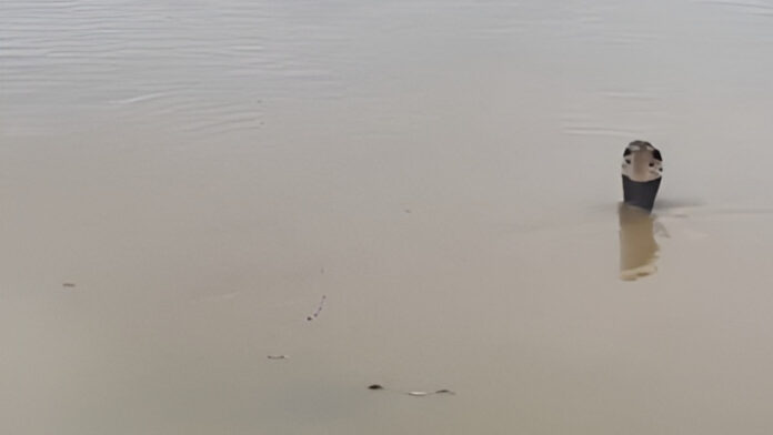 flood China Hit By Deadly Landslide As Floods Trigger Snake Scare In Villages, 21 Died