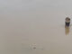 China Hit By Deadly Landslide As Floods Trigger Snake Scare In Villages, 21 Died China Hit By Deadly Landslide As Floods Trigger Snake Scare In Villages, 21 Died