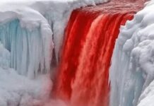 Why Does This Waterfall Look Like It’s Bleeding? Surprising Truth Behind Its Blood-Red Water Why Does This Waterfall Look Like It's Bleeding? Surprising Truth Behind Its Blood-Red Water