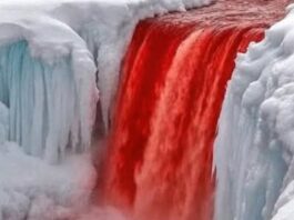 Why Does This Waterfall Look Like It’s Bleeding? Surprising Truth Behind Its Blood-Red Water Why Does This Waterfall Look Like It's Bleeding? Surprising Truth Behind Its Blood-Red Water