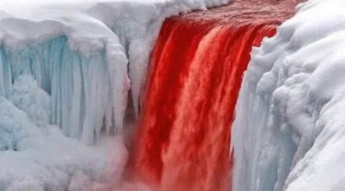 Why Does This Waterfall Look Like It’s Bleeding? Surprising Truth Behind Its Blood-Red Water Why Does This Waterfall Look Like It's Bleeding? Surprising Truth Behind Its Blood-Red Water