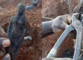 Viral Mystery: Pin-Stuck Doll Unearthed, Worker’s Claim Leaves Social Media Split Viral Mystery: Pin-Stuck Doll Unearthed, Worker's Claim Leaves Social Media Split