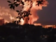 Russian Missiles Attack Lakshmi Mittal”s Steel Plant in Zelensky’s Hometown Russian Missiles Attack Lakshmi Mittal"s Steel Plant in Zelensky's Hometown