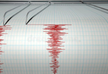 2.9-Magnitude Earthquake Rattles Delhi, Epicentre Recorded At 8 Km Depth 2.9-Magnitude Earthquake Rattles Delhi, Epicentre Recorded At 8 Km Depth