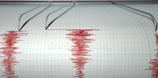 2.9-Magnitude Earthquake Rattles Delhi, Epicentre Recorded At 8 Km Depth