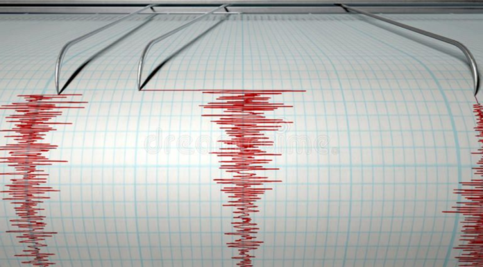 2.9-Magnitude Earthquake Rattles Delhi, Epicentre Recorded At 8 Km Depth