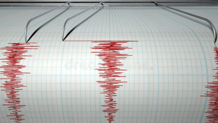 2.9-Magnitude Earthquake Rattles Delhi, Epicentre Recorded At 8 Km Depth