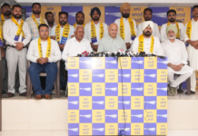 AAP Is Only Party Where Volunteers & Grassroots Workers Are Valued And Respected: Sanmeek Singh Hanry AAP Is Only Party Where Volunteers & Grassroots Workers Are Valued And Respected: Sanmeek Singh Hanry