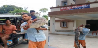 Bihar Farmer Carries Rescued Crocodile To Police Station After Alleged Delay In Response Bihar Farmer Carries Rescued Crocodile To Police Station After Alleged Delay In Response