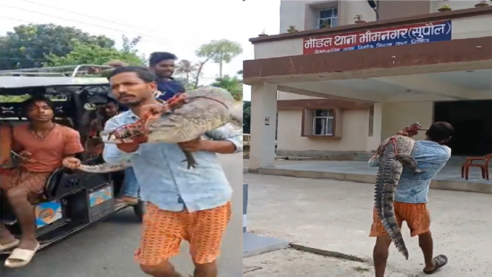 Bihar Farmer Carries Rescued Crocodile To Police Station After Alleged Delay In Response