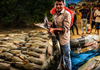 Nepal Flood’s Bizarre Aftermath: Giant 100-Kg Fish Caught in Bihar, Videos Go Viral