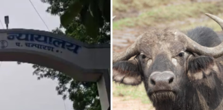Bihar Horror: Husband Kills Wife Over Dowry, Gets Life Imprisonment Six Years Later