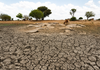 El Niño Threat Looms Large: Weak Monsoon and Crop Crisis Raise Concern Across India