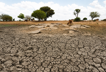 El Niño Threat Looms Large: Weak Monsoon and Crop Crisis Raise Concern Across India