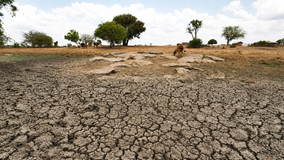 El Niño Threat Looms Large: Weak Monsoon and Crop Crisis Raise Concern Across India