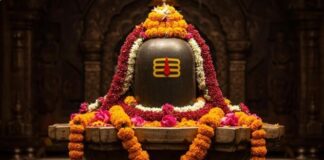 From Kashi Vishwanath to Somnath, Devotees Flock to Shiva Temples on First Sawan Somwar From Kashi Vishwanath to Somnath, Devotees Flock to Shiva Temples on First Sawan Somwar