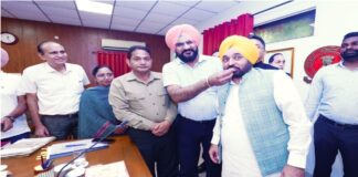 Festive Relief for Punjab Employees: Bhagwant Mann Govt Raises DA by 8%, Employees and Pensioners to Get Enhanced Benefits