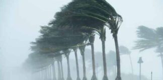 Delhi To Bihar Brace For Heavy Rain As Weather Alerts Intensify Delhi To Bihar Brace For Heavy Rain As Weather Alerts Intensify
