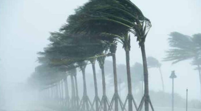 Delhi To Bihar Brace For Heavy Rain As Weather Alerts Intensify Delhi To Bihar Brace For Heavy Rain As Weather Alerts Intensify