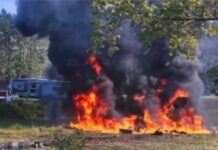 Bird Strike Causes F-16 Crash In Michigan, Pilot Safely Ejects From Jet Bird Strike Causes F-16 Crash In Michigan, Pilot Safely Ejects From Jet