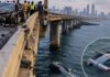 BMW Crashes Off Mumbai Coastal Road Bridge, Three People Die BMW Crashes Off Mumbai Coastal Road Bridge, Three People Die