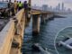 BMW Crashes Off Mumbai Coastal Road Bridge, Three People Die BMW Crashes Off Mumbai Coastal Road Bridge, Three People Die