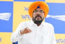 BJP Cannot Defeat AAP Politically, So It Is Trying to Intimidate Punjab Through ED: Kuldeep Dhaliwal BJP Cannot Defeat AAP Politically, So It Is Trying to Intimidate Punjab Through ED: Kuldeep Dhaliwal