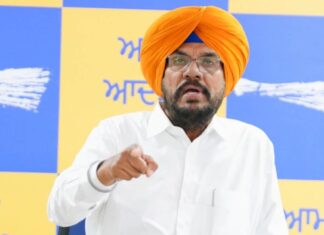 BJP Cannot Defeat AAP Politically, So It Is Trying to Intimidate Punjab Through ED: Kuldeep Dhaliwal BJP Cannot Defeat AAP Politically, So It Is Trying to Intimidate Punjab Through ED: Kuldeep Dhaliwal