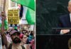 Hollywood Stars Join New York Protest Ahead Of Netanyahu’s UN Address Hollywood Stars Join New York Protest Ahead Of Netanyahu’s UN Address