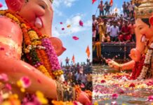 Ganesh Visarjan 2026: Lalbaugcha Raja And Chinchpokli Chintamani Bid Farewell Ganesh Visarjan 2026: Lalbaugcha Raja And Chinchpokli Chintamani Bid Farewell