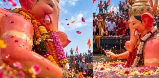 Ganesh Visarjan 2026: Lalbaugcha Raja And Chinchpokli Chintamani Bid Farewell Ganesh Visarjan 2026: Lalbaugcha Raja And Chinchpokli Chintamani Bid Farewell