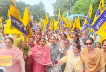 AAP Women’s Wing Will Stand With Every Woman & Fight for Their Dignity; Take Strict Action Against Guilty: Dr. Amandeep Arora
