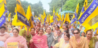 AAP Women’s Wing Will Stand With Every Woman & Fight for Their Dignity; Take Strict Action Against Guilty: Dr. Amandeep Arora