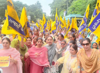 AAP Women’s Wing Will Stand With Every Woman & Fight for Their Dignity; Take Strict Action Against Guilty: Dr. Amandeep Arora