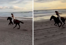 US President Donald Trump’s Daughter Ivanka Takes Black Horse for a Ride by the Sea, Shares Video