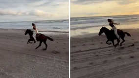 US President Donald Trump’s Daughter Ivanka Takes Black Horse for a Ride by the Sea, Shares Video