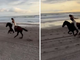 US President Donald Trump’s Daughter Ivanka Takes Black Horse for a Ride by the Sea, Shares Video