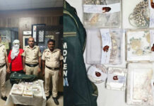 ₹12 Lakh Jewellery Snatched From Moving Train, Railway Police Crack the Case