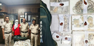 ₹12 Lakh Jewellery Snatched From Moving Train, Railway Police Crack the Case
