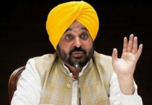 Punjab to Get 309 More Buses Next Month, CM Bhagwant Mann Announces Major Transport Push