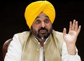 Bhagwant Mann Flags Off 100 Mini Buses, 309 More Buses to Join Fleet Next Month