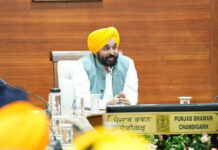 Bhagwant Mann Govt Will Leave No Stone Unturned to Secure Release of Bandi Singhs