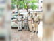 Bhuna Police Arrest Man with 7.48 Grams of Heroin, Seize Activa Scooter