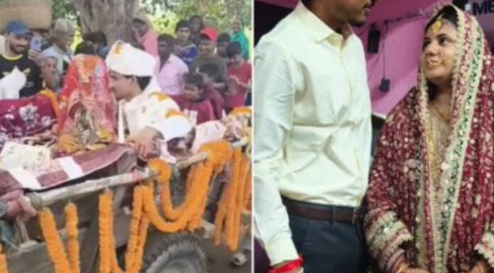 Bihar Wedding Goes Viral as Bride Arrives in Bullock Cart, Invitation Reads ‘Bapu Sang Kasturba’