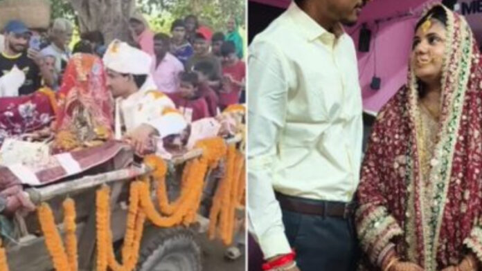Bihar Wedding Goes Viral as Bride Arrives in Bullock Cart, Invitation Reads ‘Bapu Sang Kasturba’